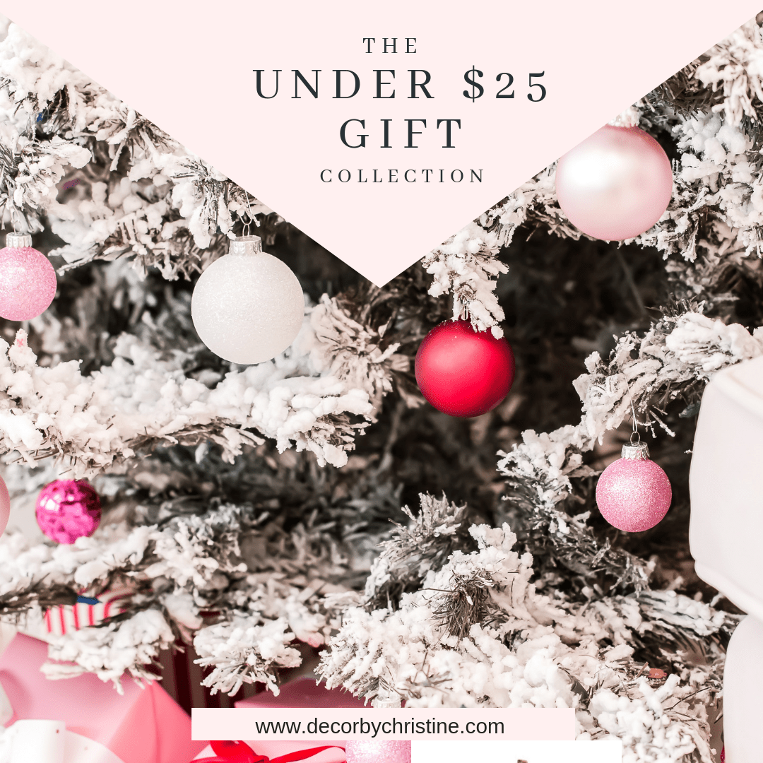 Last Minute Gifts Under $25